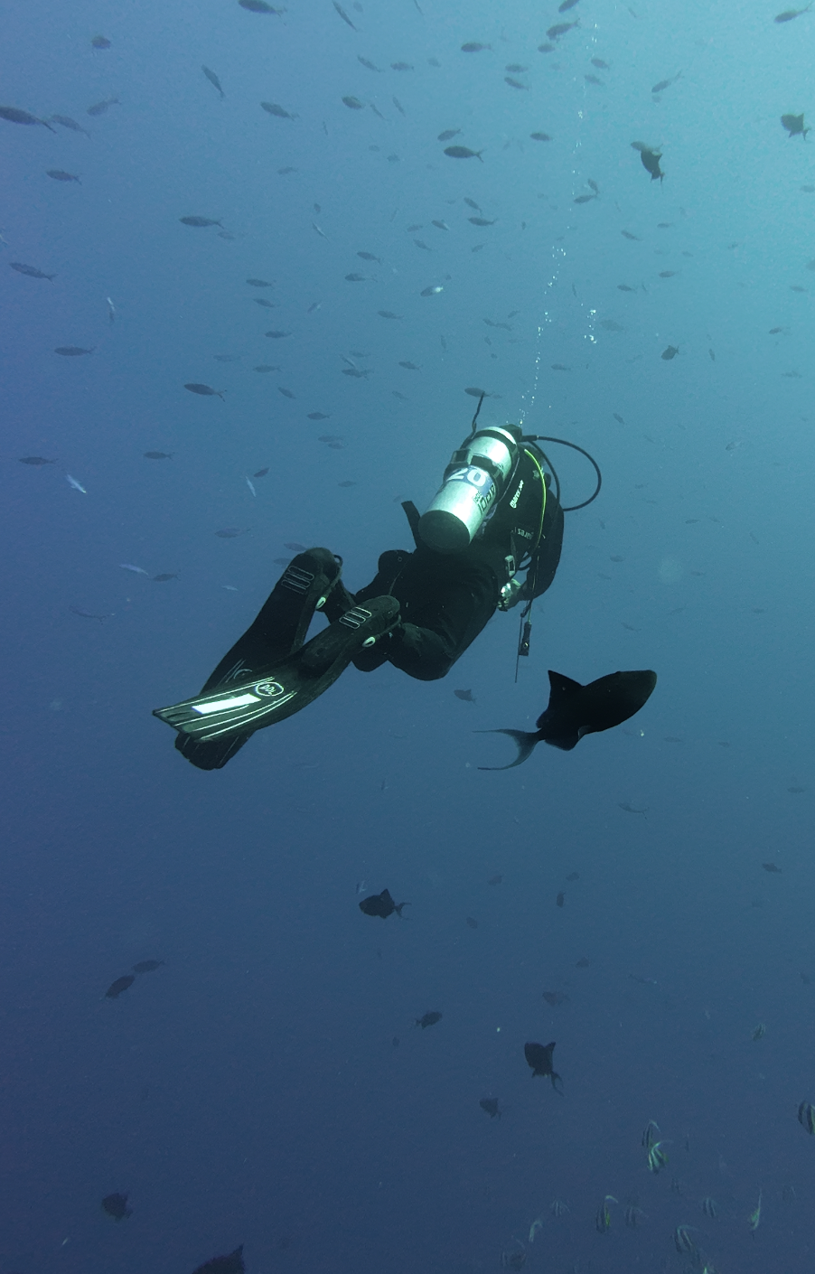 Corso Open Water Diver Ondasub Torino