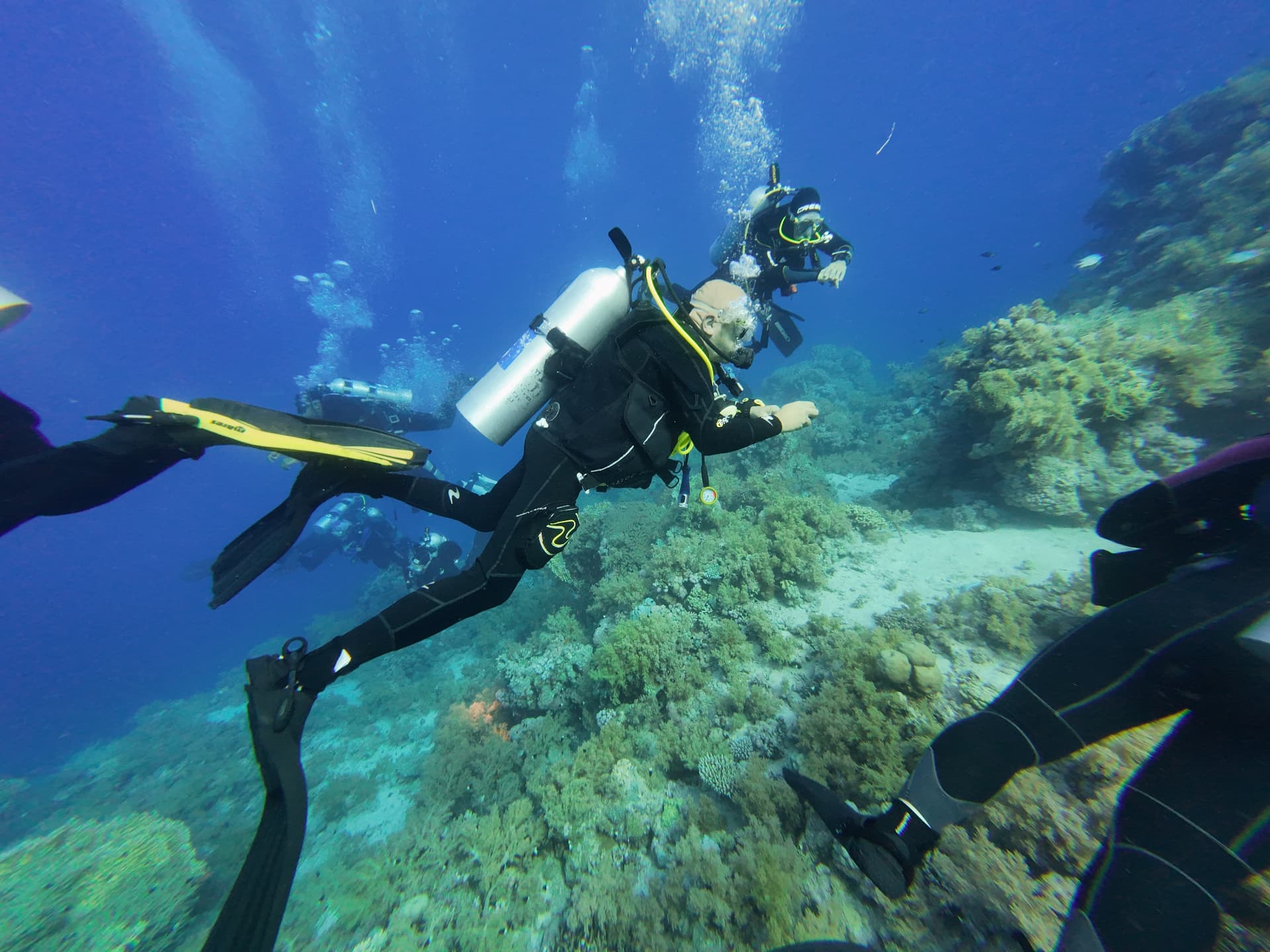 Subacquei Ondasub Torino durante un'immersione organizzata in mare